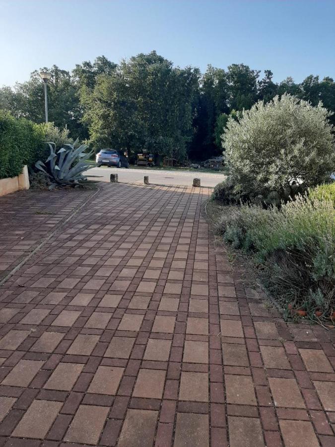 Apartmán Medo Novigrad Istria Exteriér fotografie